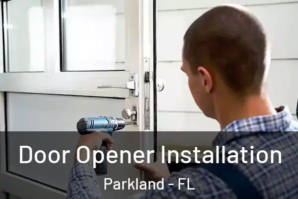  Door Opener Installation Parkland - FL