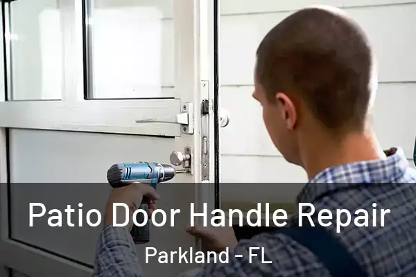  Patio Door Handle Repair Parkland - FL