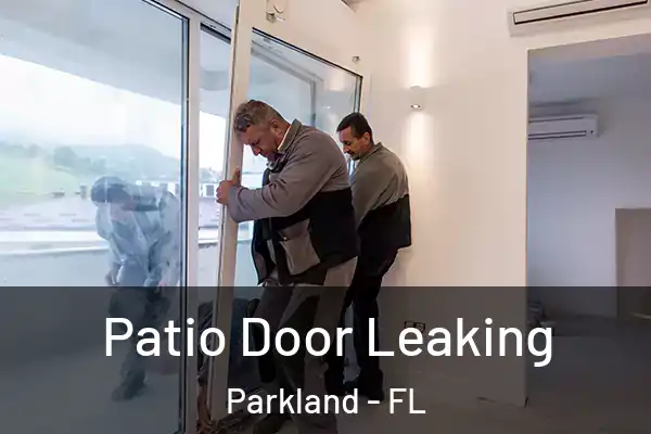  Patio Door Leaking Parkland - FL