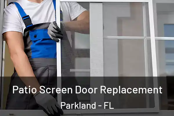 Patio Screen Door Replacement Parkland - FL