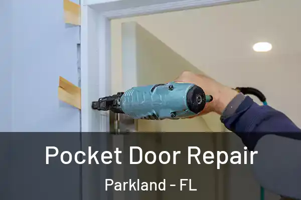  Pocket Door Repair Parkland - FL