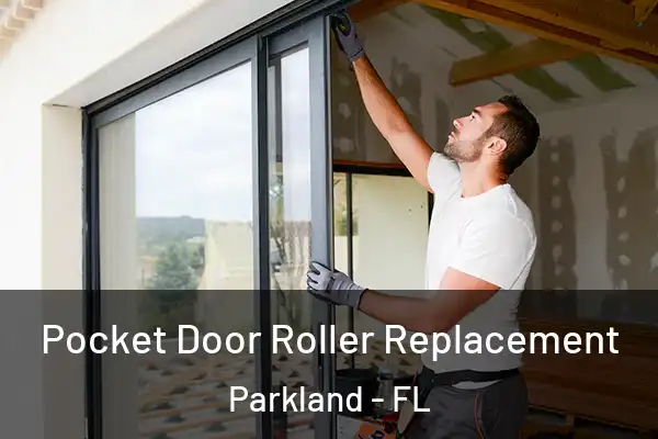  Pocket Door Roller Replacement Parkland - FL