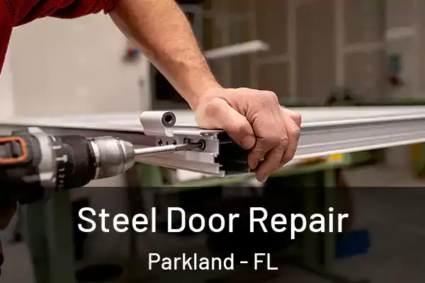  Steel Door Repair Parkland - FL